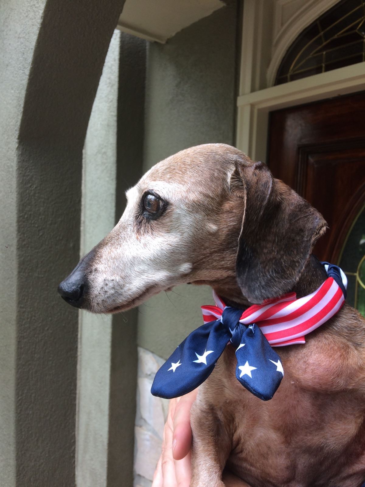 Pet-Friendly callout